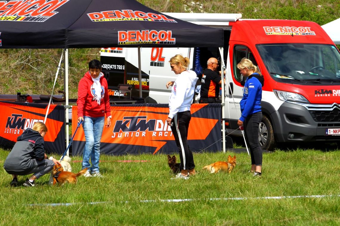 photo_0156